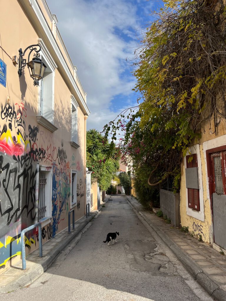 Афины зимой улицы города